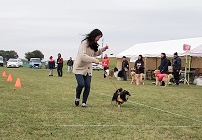 20231112ibaraki運動会